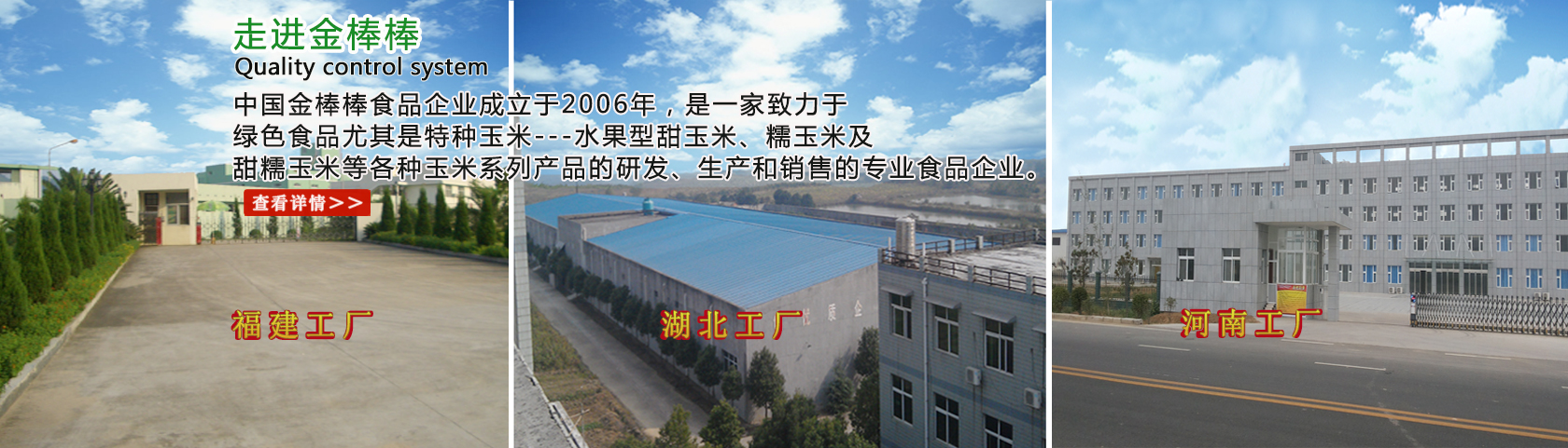 走進金棒棒